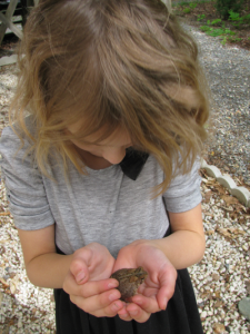 Elementary school and nature