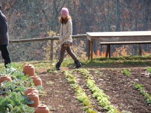 Review of the Garden crops while visiting Lynchburg Grow!